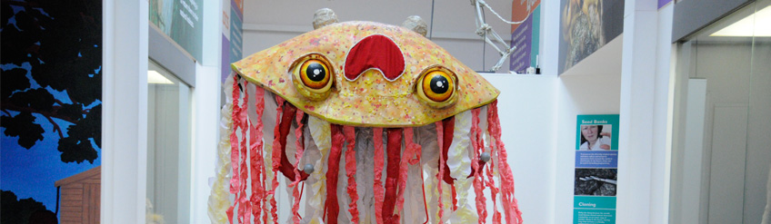 Lost Creatures Lurk at the Yorkshire Museum this October Half Term