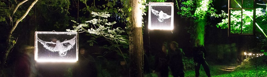 Four Days of Light for Illuminating York 10th Anniversary
