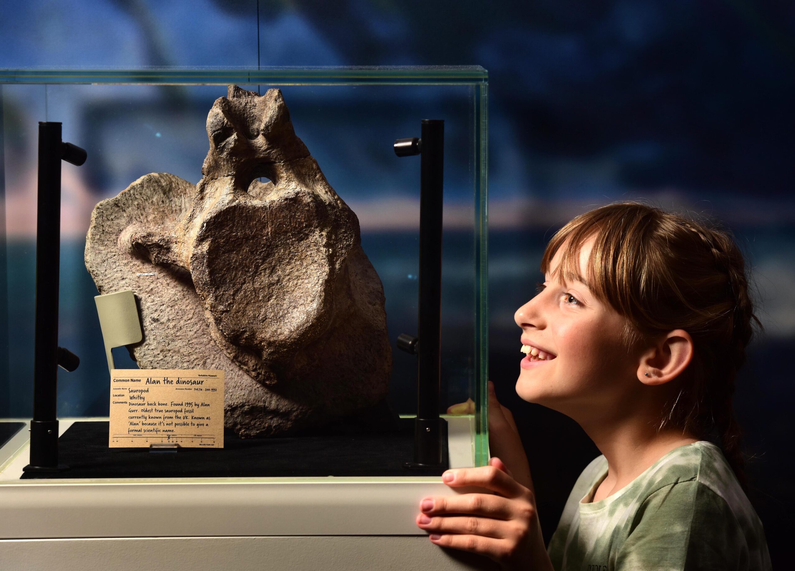 Yorkshire's Jurassic World | Yorkshire Museum Yorkshire's Jurassic World | Yorkshire Museum